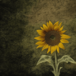 Artistic interpretation of themes and motifs of the movie Little Miss Sunshine by Jonathan Dayton